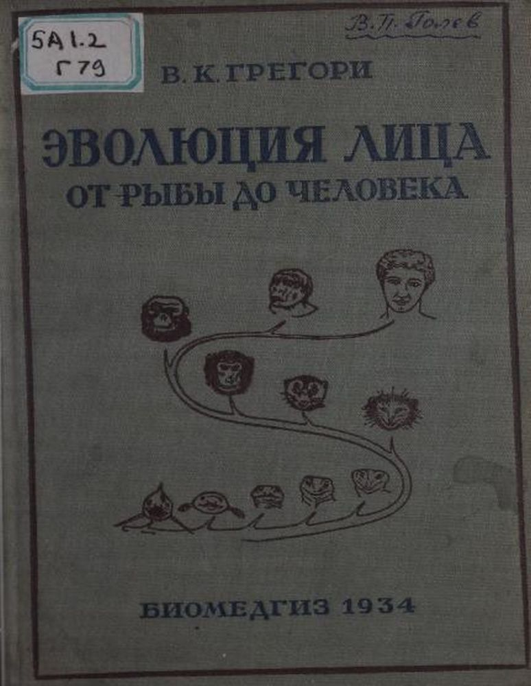 Эволюция лица от рыбы до человека