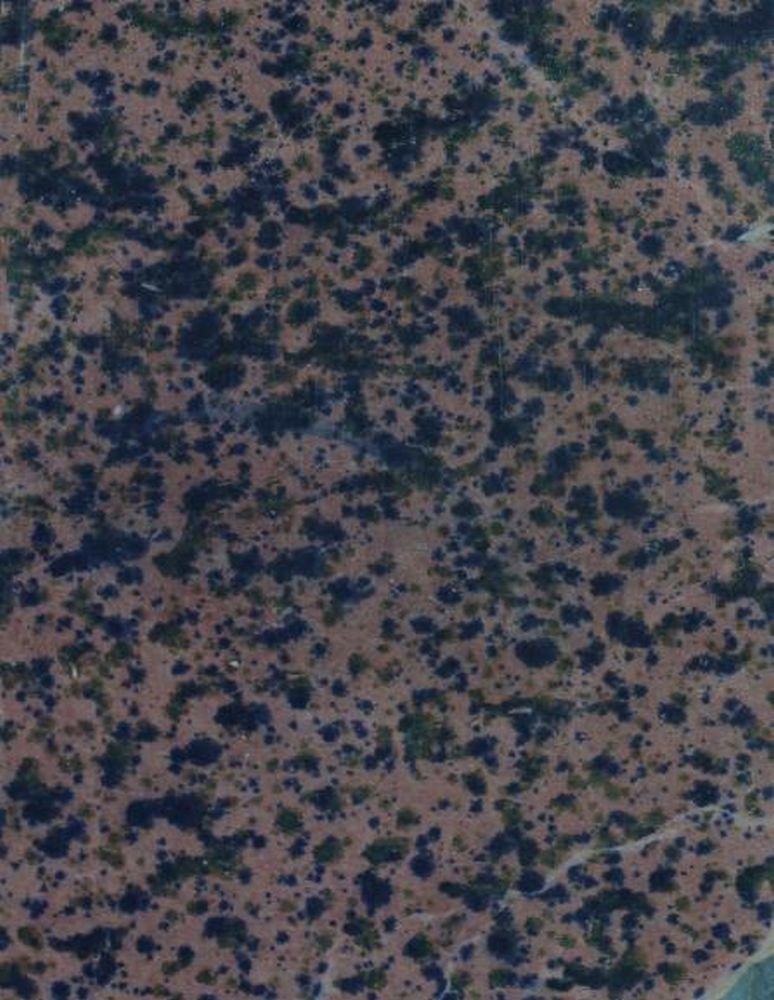 Жизнь и творчество Максима Горького по его рассказам