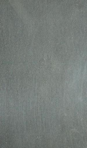 Энциклопедический словарь Т.41 Ч.6