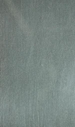 Энциклопедический словарь Т.41 Ч.7