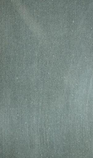 Энциклопедический словарь Т.42