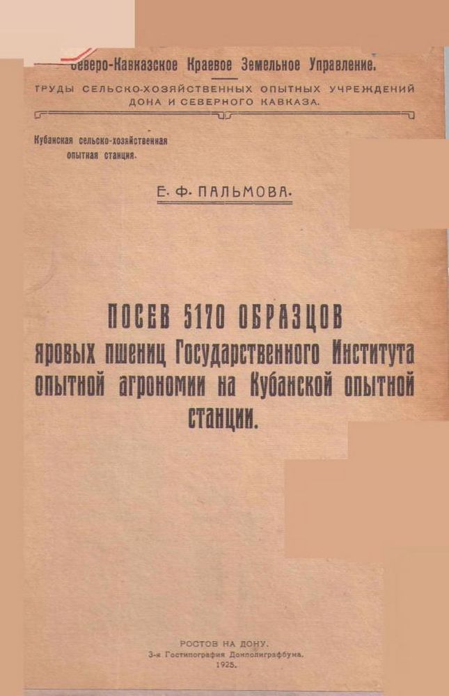 Посев 5170 образцов яровых пшениц Государственного Института опытной агрономии на Кубанской опытной станции