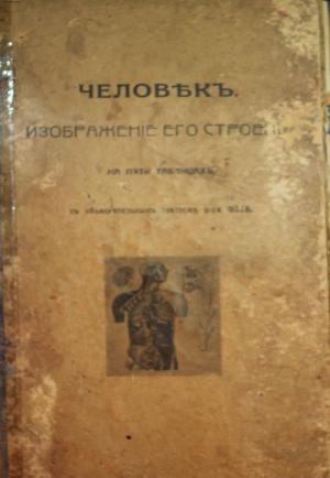 Человек. Изображение его строения на пяти таблицах с объяснительным текстом доктора Фета