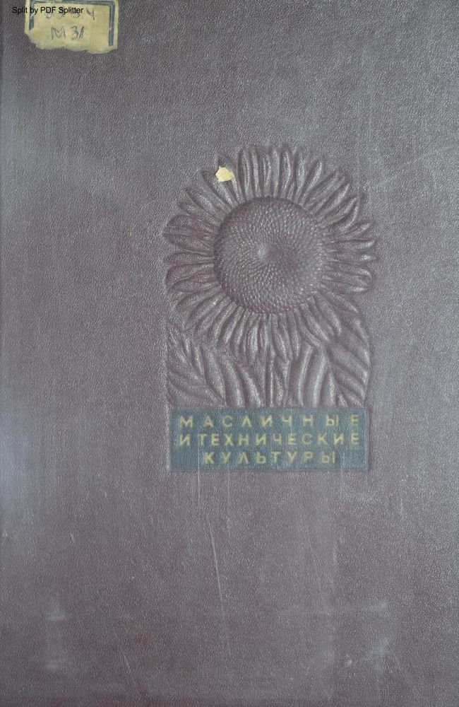 Масличные и технические культуры