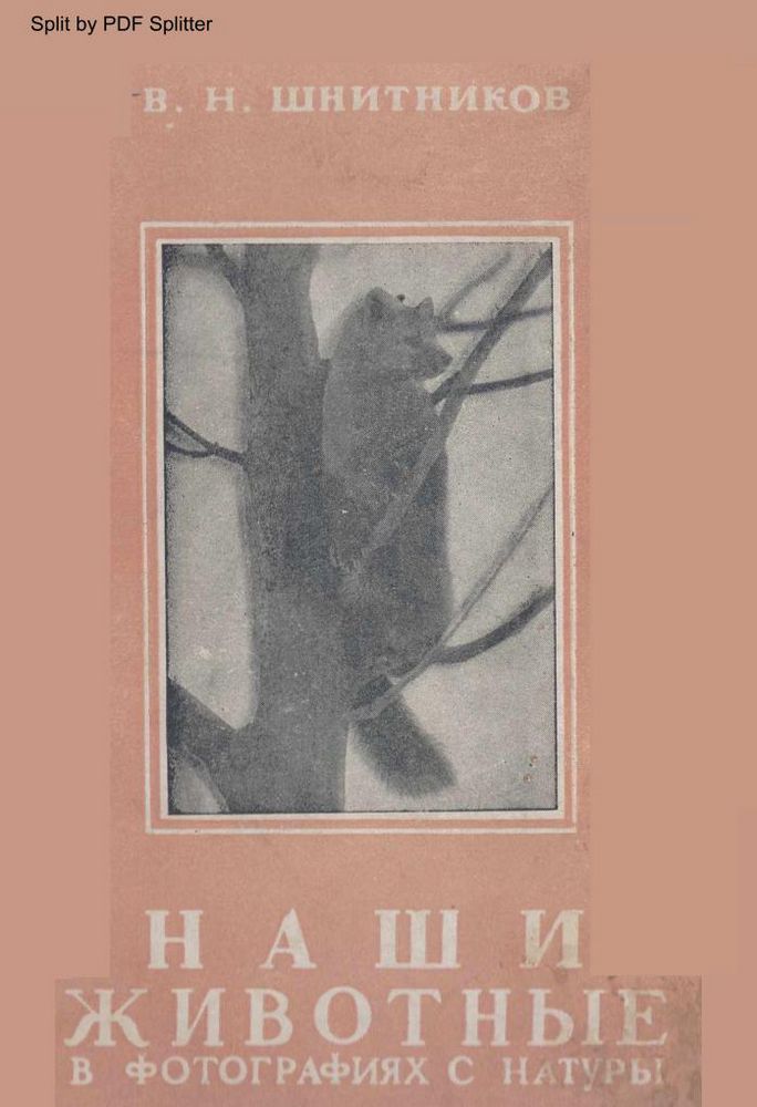 Наши животные в фотографиях с натуры