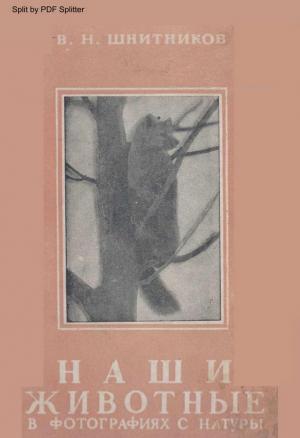 Наши животные в фотографиях с натуры